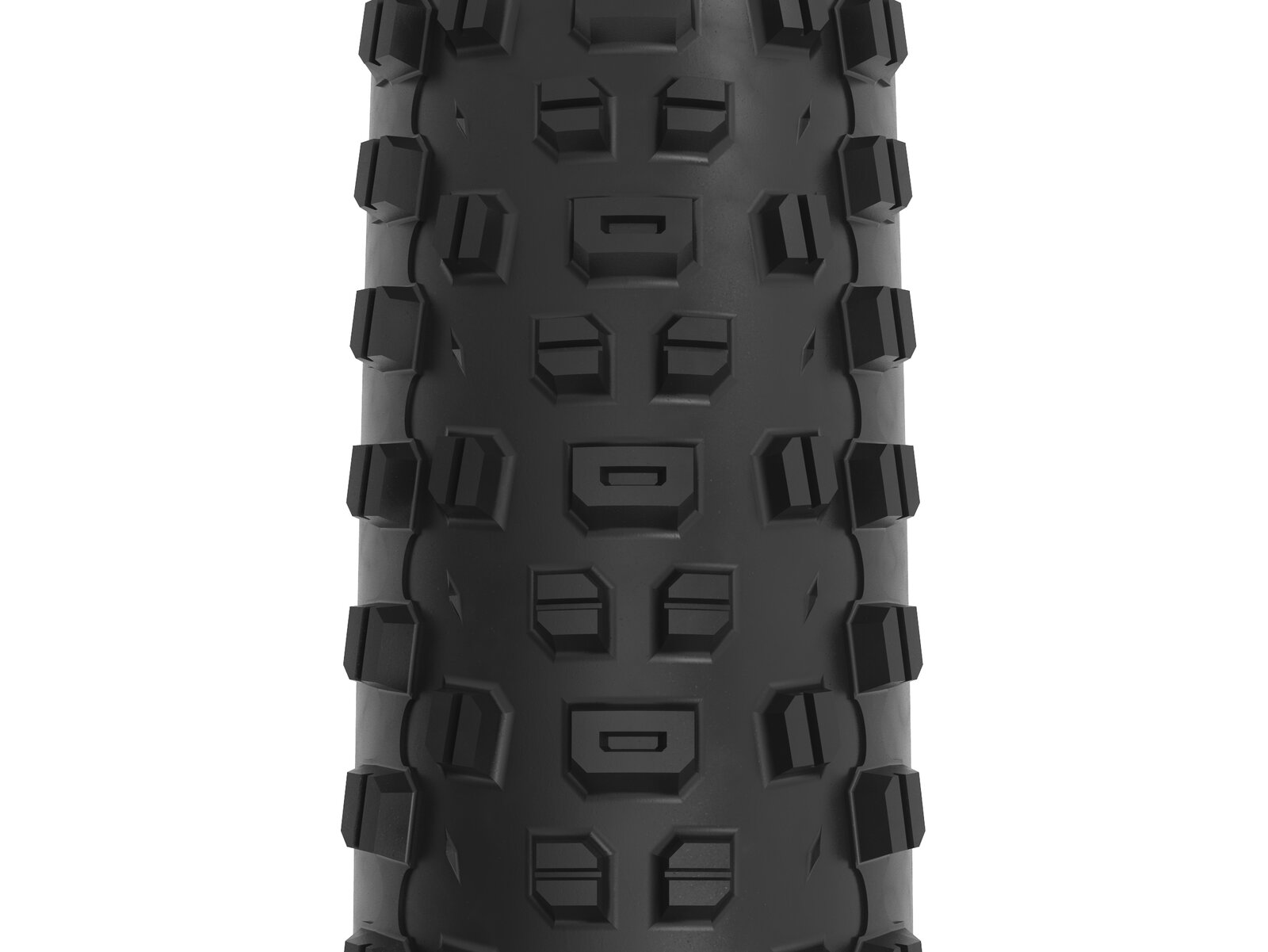 WTB Ranger 2.4x29" TCS Light FRT